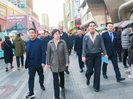 MS - ��ʨ����ᡤ�ٷ�(�й�)