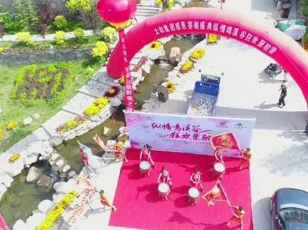 MS - ��ʨ����ᡤ�ٷ�(�й�)