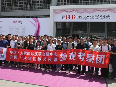 MS - ��ʨ����ᡤ�ٷ�(�й�)