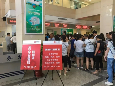 MS - ��ʨ����ᡤ�ٷ�(�й�)