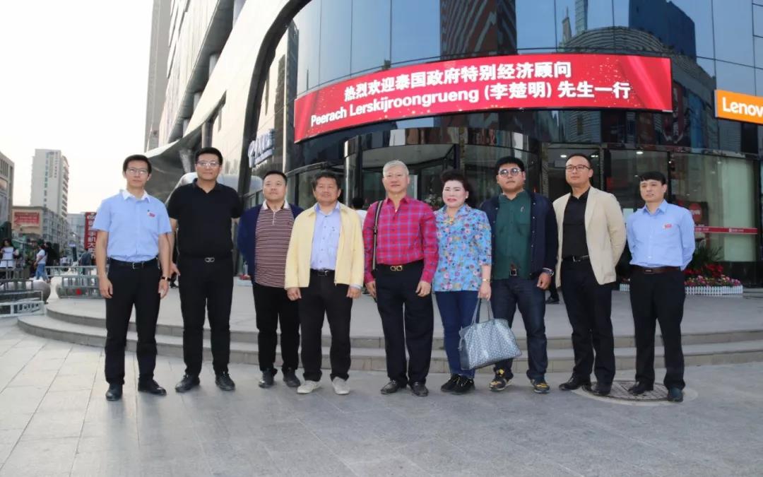 MS - ��ʨ����ᡤ�ٷ�(�й�)