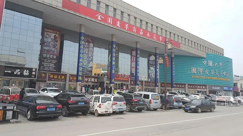 MS - ��ʨ����ᡤ�ٷ�(�й�)