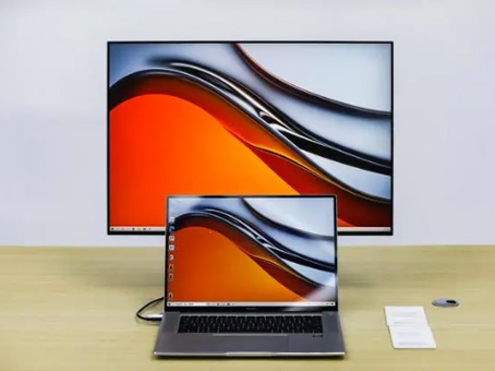 MS - ��ʨ����ᡤ�ٷ�(�й�)