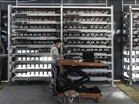 MS - ��ʨ����ᡤ�ٷ�(�й�)