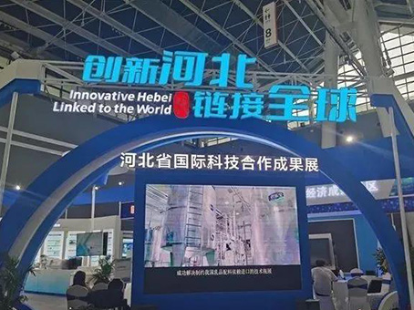 MS - ��ʨ����ᡤ�ٷ�(�й�)