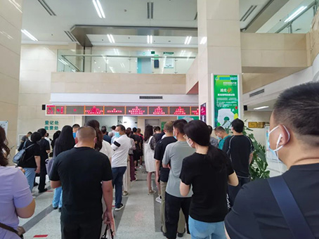 MS - ��ʨ����ᡤ�ٷ�(�й�)