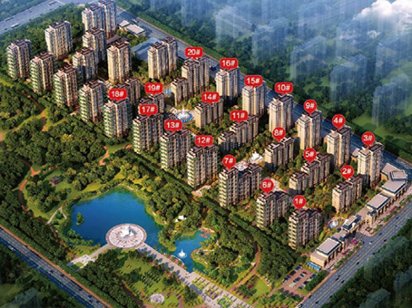 MS - ��ʨ����ᡤ�ٷ�(�й�)