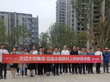 MS - ��ʨ����ᡤ�ٷ�(�й�)