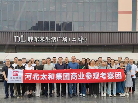 MS - ��ʨ����ᡤ�ٷ�(�й�)