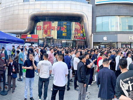 MS - ��ʨ����ᡤ�ٷ�(�й�)