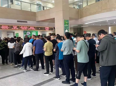 MS - ��ʨ����ᡤ�ٷ�(�й�)