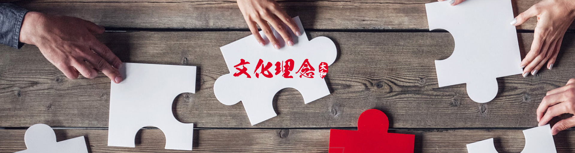 MS - ��ʨ����ᡤ�ٷ�(�й�)