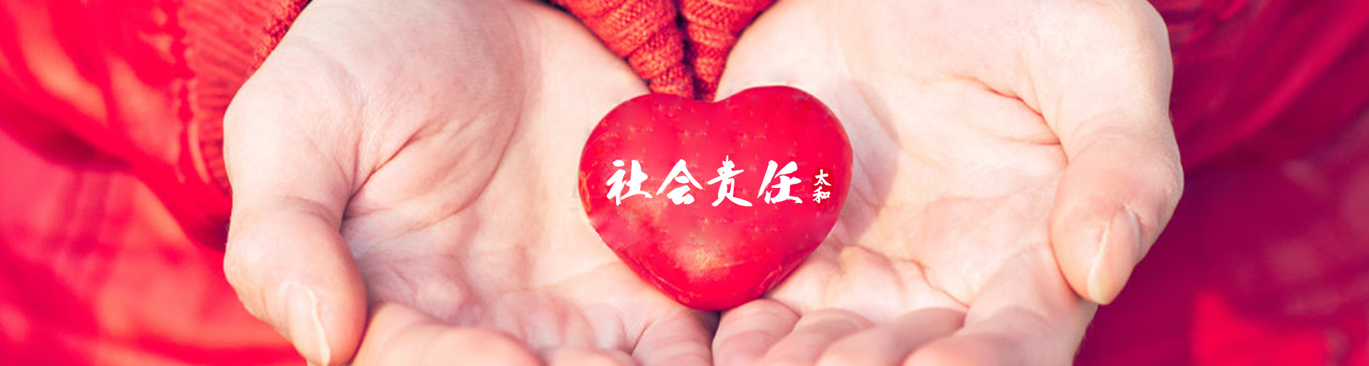 MS - ��ʨ����ᡤ�ٷ�(�й�)