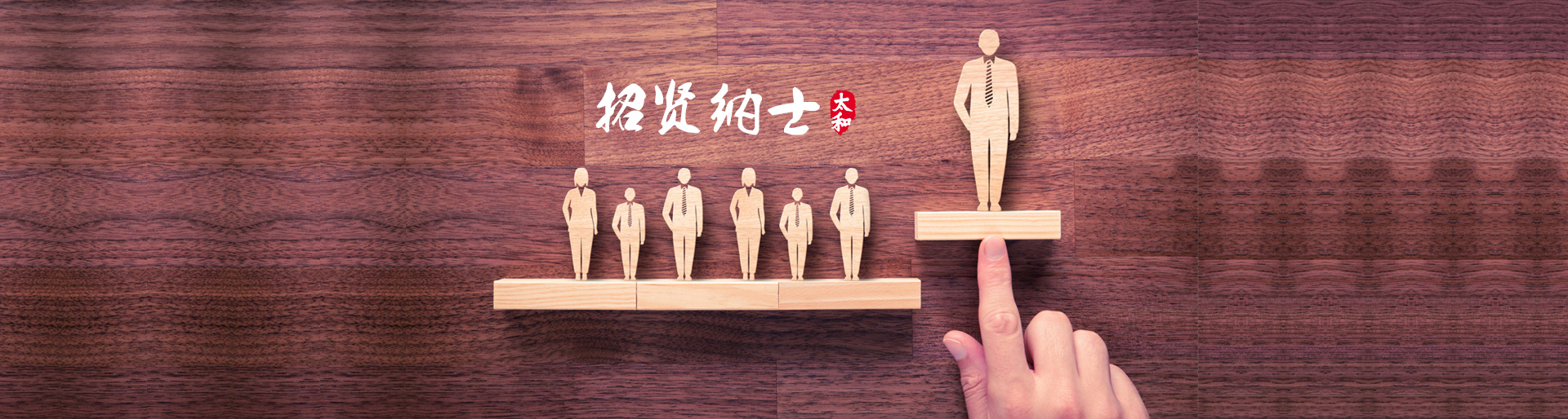 MS - ��ʨ����ᡤ�ٷ�(�й�)